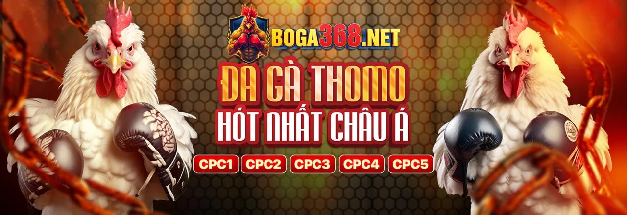 Đá Gà ibet68 – Sân đấu kịch tính
